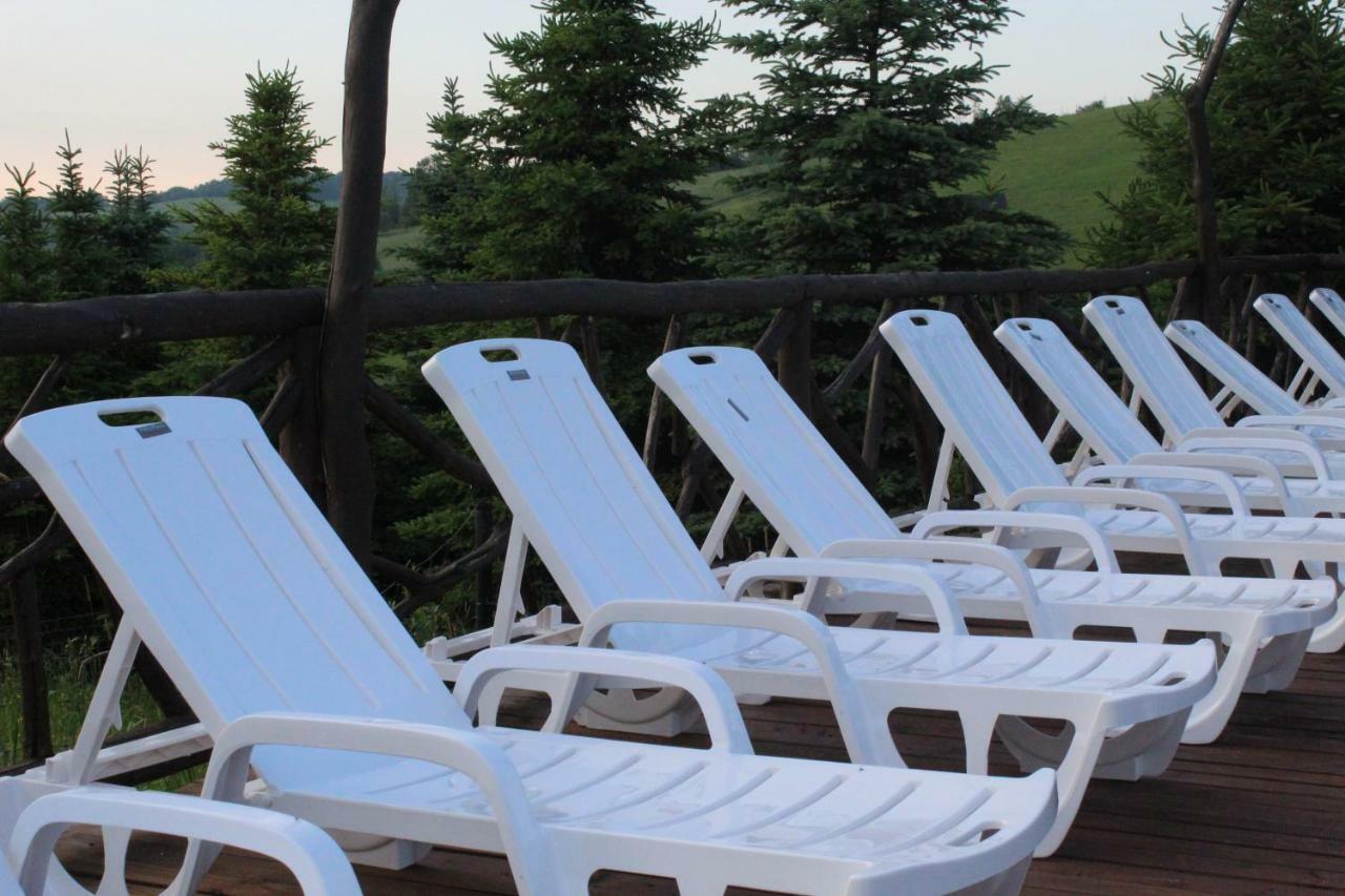Bieszczadzkie Wrota Lasu Hotel Steznica  Kültér fotó